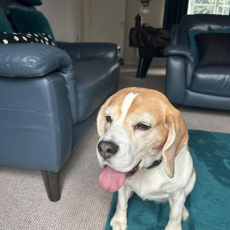 Hereford - Finch House - Modern 4 Bedroom House Located In South Hereford, Dog Friendly With Nearby Countryside, Pool Table, Sleeps Up To 10 Guests - Hosted By Rentmyhouse Екстериор снимка