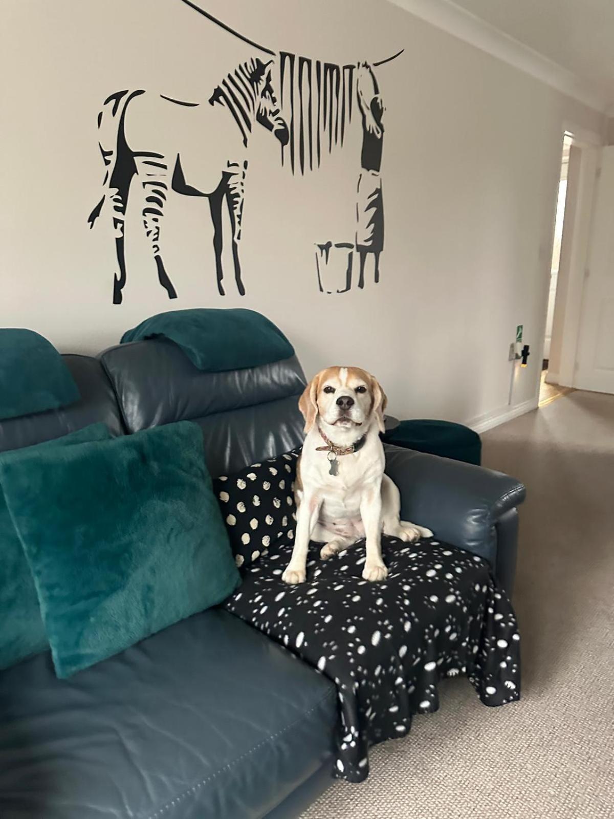 Hereford - Finch House - Modern 4 Bedroom House Located In South Hereford, Dog Friendly With Nearby Countryside, Pool Table, Sleeps Up To 10 Guests - Hosted By Rentmyhouse Екстериор снимка
