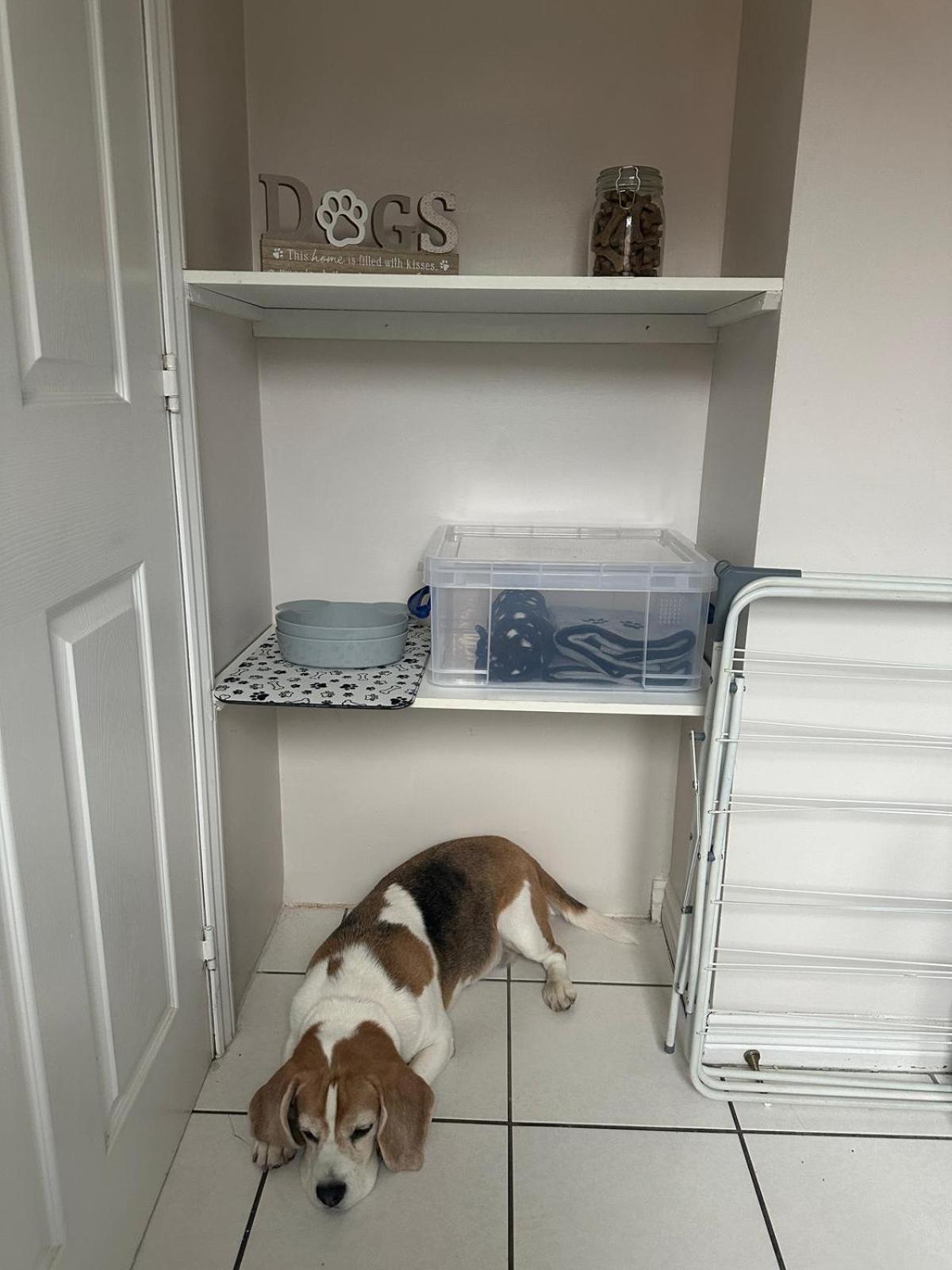 Hereford - Finch House - Modern 4 Bedroom House Located In South Hereford, Dog Friendly With Nearby Countryside, Pool Table, Sleeps Up To 10 Guests - Hosted By Rentmyhouse Екстериор снимка