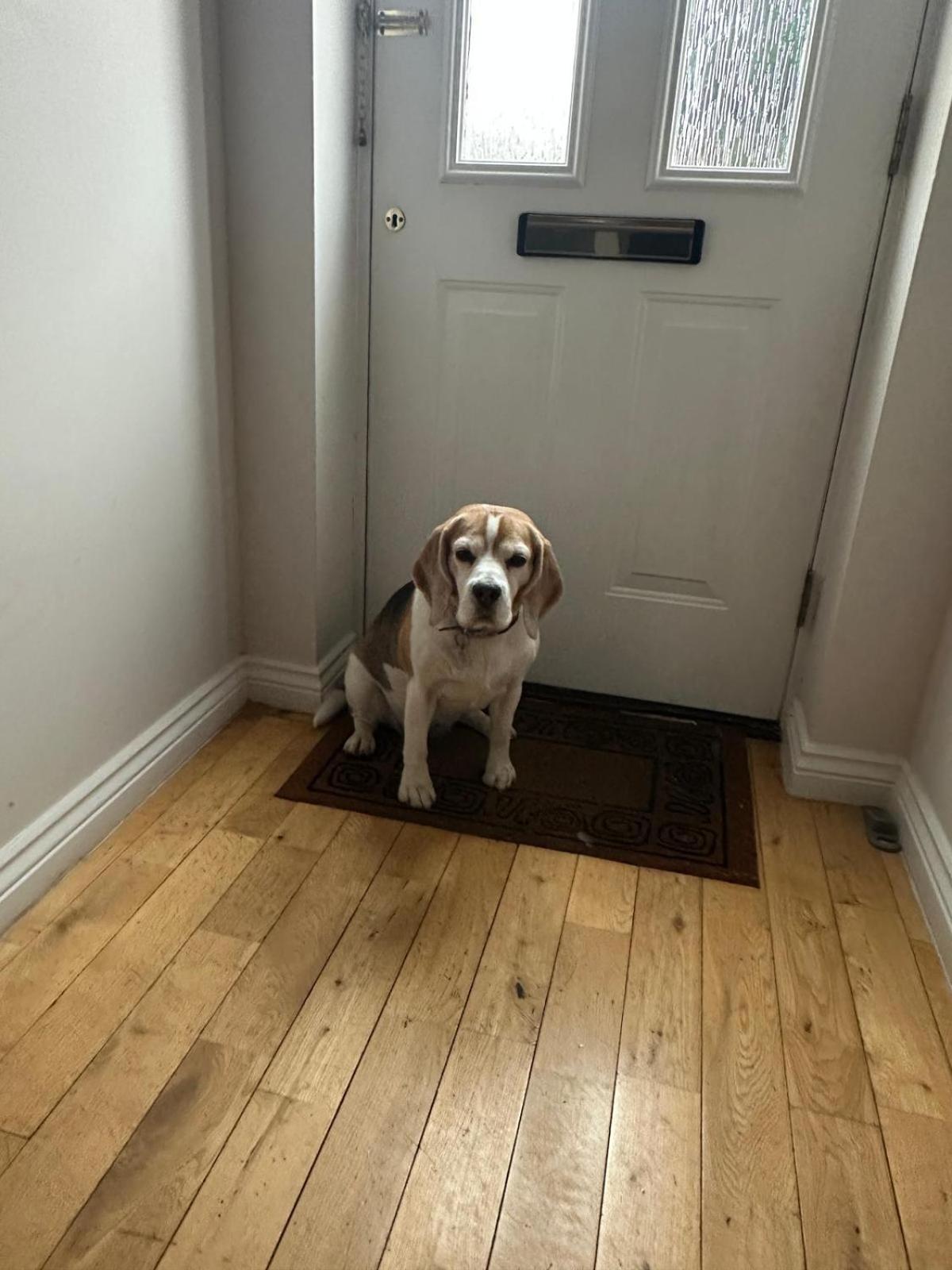 Hereford - Finch House - Modern 4 Bedroom House Located In South Hereford, Dog Friendly With Nearby Countryside, Pool Table, Sleeps Up To 10 Guests - Hosted By Rentmyhouse Екстериор снимка