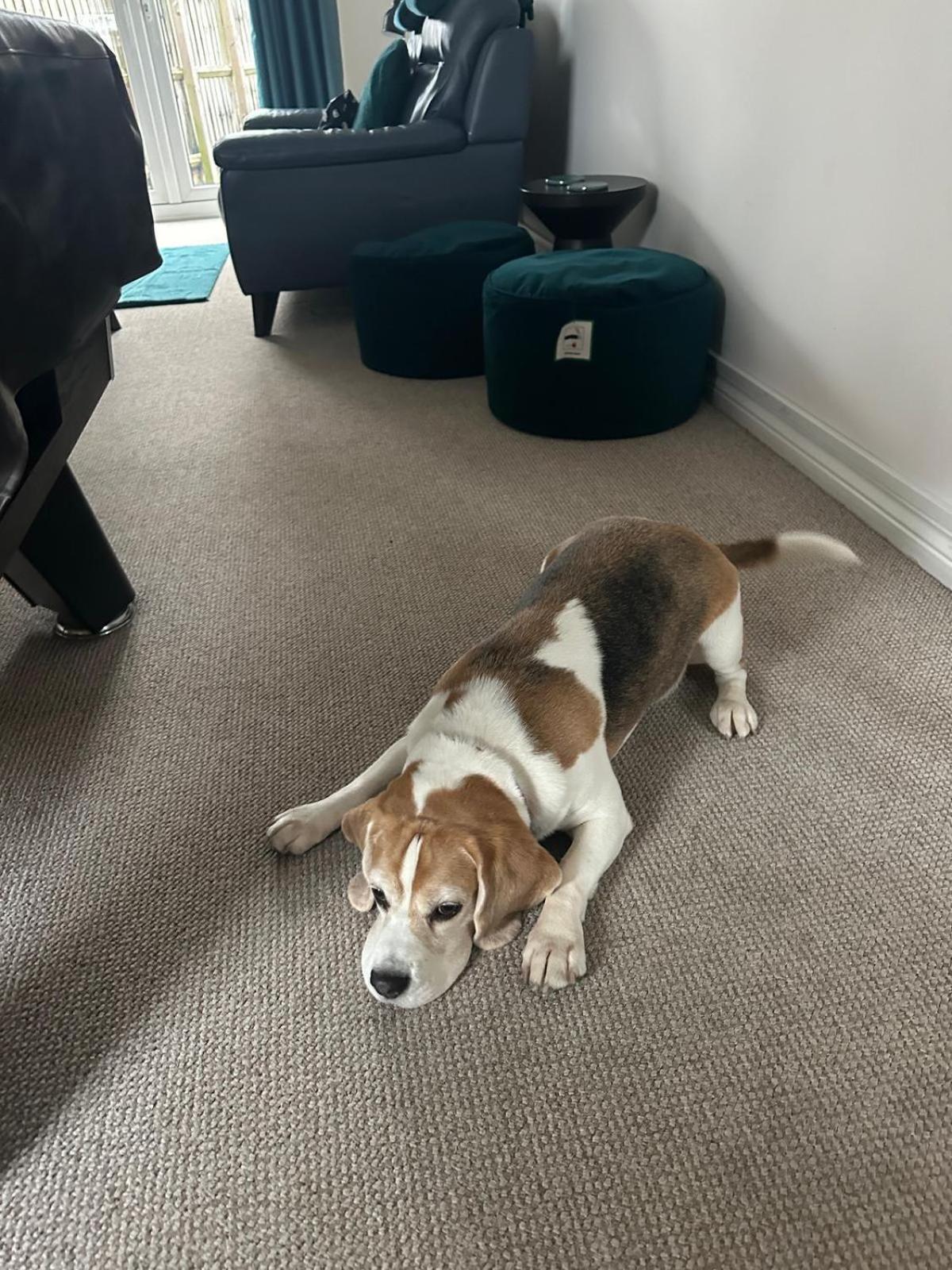 Hereford - Finch House - Modern 4 Bedroom House Located In South Hereford, Dog Friendly With Nearby Countryside, Pool Table, Sleeps Up To 10 Guests - Hosted By Rentmyhouse Екстериор снимка